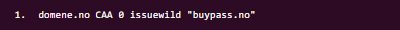 domene.no CAA 0 issuewild "buypass.no"